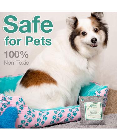 Bamboo Activated Charcoal Air Purifier Bags (Pack of 4, 200g Each) | Natural Deodorizer & Odor Eliminator for Home, Car, Closet, and Refrigerator - Buy Online on GoSupps.com