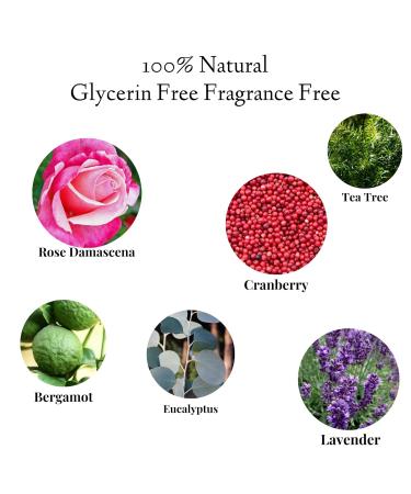 Pregnancy Safe Executive P Intimate Wash - Vegan, Fragrance-Free, pH Balanced, Glycerin-Free, Herbal Formula for Sensitive Skin. Odor & Itch Eliminating, Moisturizing, Skin Rejuvenating - Daily Use - Buy Online on GoSupps.com