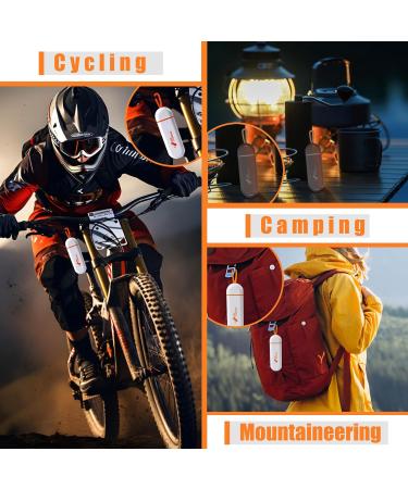 Buy Pocket Flat Pill Case - Mini Waterproof Medication Organizer with Lanyard | 2 PCS 3 Compartments for Vitamins & Supplements (White/Grey - Buy Online on GoSupps.com