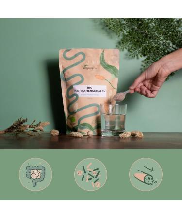 Organic Psyllium Blond Tegument | 90% Fiber | 400g Psyllium Husk | Superior Quality: Pure Natural & Vegan | Digestion + Transit Aid | Vegavero  - Buy Online on GoSupps.com