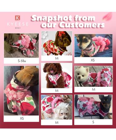 KYEESE Elegant Princess Dog Dress with Rose and Flowers Decor for Small Dogs - Medium Size | Spring Summer Dog Apparel - Buy Online on GoSupps.com