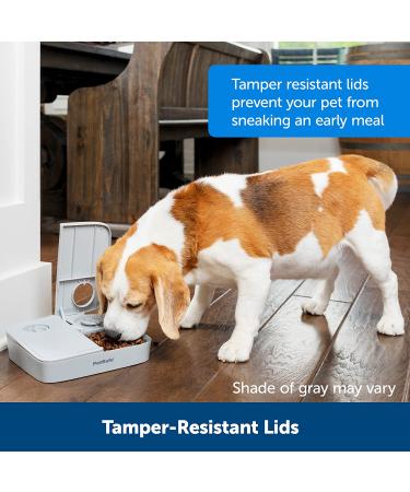 PetSafe Analog 2 Meal Programmable Pet Feeder - Automatic Dog & Cat Feeder with Portion Control - Tamper-Resistant Design | 3 Cup Capacity - Buy Online on GoSupps.com