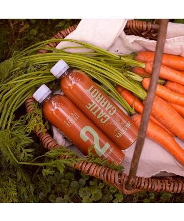 Buy Kale and Me 3-Day Classic Juice Cure | 18 Bottles 6 Natural Flavors No Additives | International Shipping - Buy Online on GoSupps.com