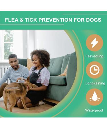 Natural Spot on Flea and Tick Treatment for Small Dogs - Fast Acting & Waterproof - 3 Pipettes - Buy Online on GoSupps.com