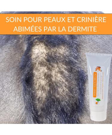 Derma Equilibrium - Natural Treatment for Dermatitis in Horses - With Plants Calendula Lavender Cade - Anti-itching (Derma Equilibrium 1000mL) - Buy Online on GoSupps.com