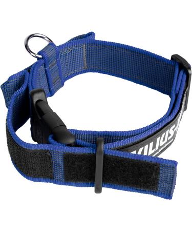 Julius-K9 Adjustable Neck Band with Handle | Color & Gray 40mm (38-53cm) | Safe Closure & Logo - Shop Now! - Buy Online on GoSupps.com