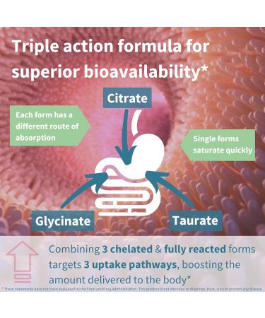 Igennus Advanced Triple Magnesium Complex Fully Reacted & Chelated Glycinate Taurate & Citrate Clean Label High Bioavailability & Absorption 180 Tablets Vegan Non-Buffered 180 Count (Pack of 1) - Buy Online on GoSupps.com