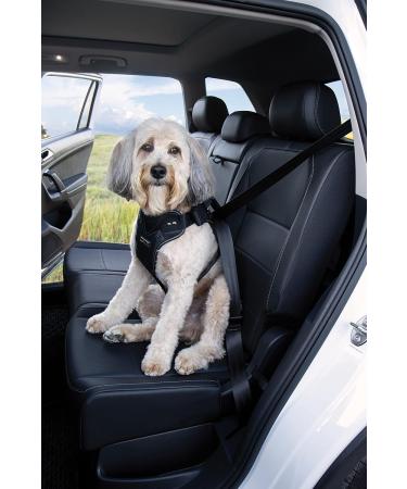 DogMaster 2.0 Dog Safety Belt - Black Size S | Secure & Adjustable Pet Seat Belt for Travel - Buy Online on GoSupps.com