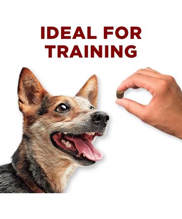 Purina ONE True Instinct Bites Natural Dog Treats Venison - 198 g Pouch (1 Pack) 198 g (Pack of 1) - Buy Online on GoSupps.com