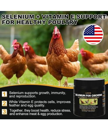 E+S Poultry Vitality Formula | Selenium for Chickens & All Poultry | Nutrient Support Powder for Energy Balance and Mobility | Feed Mix Additive for Healthy Growth - Buy Online on GoSupps.com