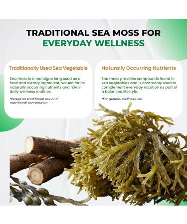 Organic Sea Moss Capsules with Black Seed Oil Ashwagandha Burdock Root Bladderwrack for Immune System Gut Skin & Energy (150 Count (Pack of 1)) 150 Day Supply (Pack of 1) - Buy Online on GoSupps.com