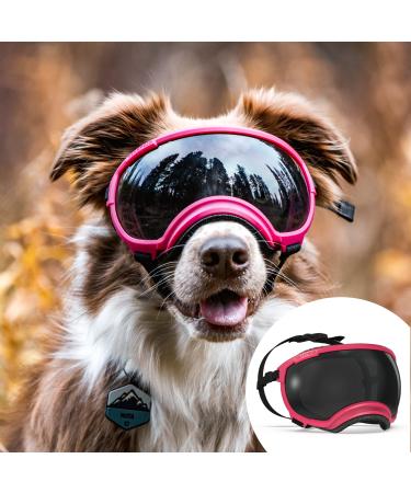 Rex Specs V2 Dog Goggles (Medium, Yazberry) Medium Yazberry