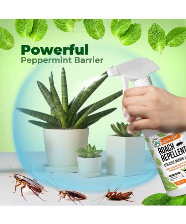 Mighty Mint 16oz Natural Peppermint Oil Spray - Cockroach Repellent - Buy Online on GoSupps.com