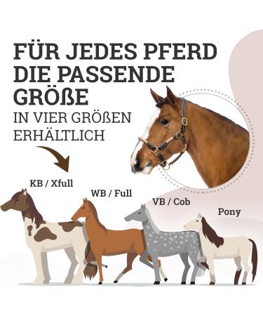 Esposita Seilhafter Ranch Halfter for Horses | Leather & Rope with Brass Fittings | Ideal Bite-Free Halter | Brown Pony Size - Buy Online on GoSupps.com