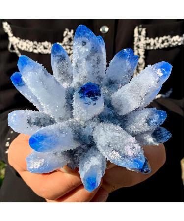 Natural Crystal Rough New Find Sky Blue Phantom Quartz Crystal Cluster Specimen (Size : 400-500g) - Buy Online on GoSupps.com