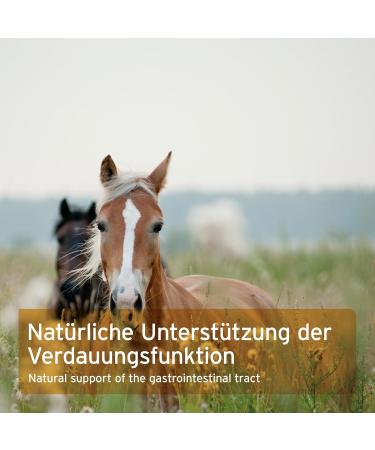 AniForte 3 kg feed for horses dogs and cats rich in fiber and mucilaginous substances quality equivalent to raw materials of Indian origin - Buy Online on GoSupps.com