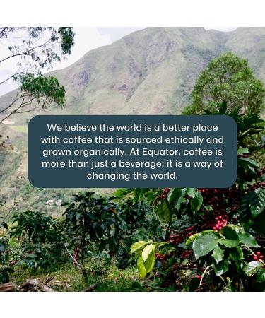 Equator Coffee Roasters Freakin Good Coffee Fair Trade & Organic Coffee Blend Specialty Grade Coffee Beans Locally Roasted Arabica Coffee Ethically Sourced Coffee Gourmet Coffee Experience Freakin' Good 908 g (Pack of 1) - Buy Online on GoSupps.com