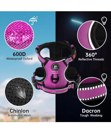 Nestroad Large Dog Harness & Leash Set - Rose Red | Adjustable Size L (Neck 38-48cm Breast 48-74cm) | Includes Car Seat Belt for Large Dogs - Buy Online on GoSupps.com