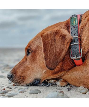 Shop HUNTER Convenience Comfort Dog Collar - Neoprene Plastic Neon Orange XS-S | International Shipping Available - Buy Online on GoSupps.com