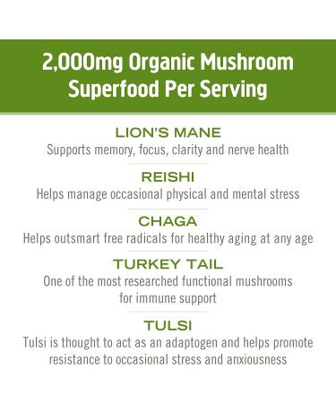 Om Mushrooms Mushroom Powered Matcha Latte Blend 10 Packets 0.28 oz (8 g) Each - Buy Online on GoSupps.com