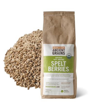 Organic Spelt Berries - 5 lbs 5 Pound (Pack of 1)