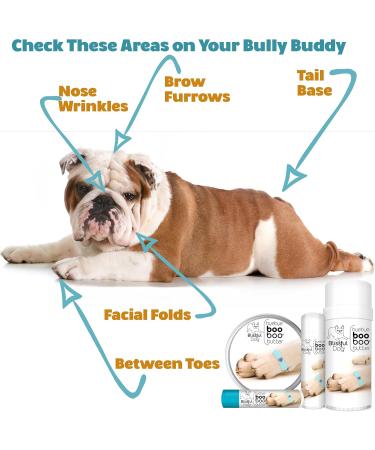 Coton De Tulear Boo Boo Butter 0.50 oz - Buy Online on GoSupps.com