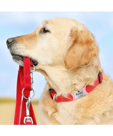 Personalized Gisurey Dog Tag - Durable Stainless Steel Engraved Pet ID for Dogs & Cats | Silent Slide-On Design - Buy Online on GoSupps.com