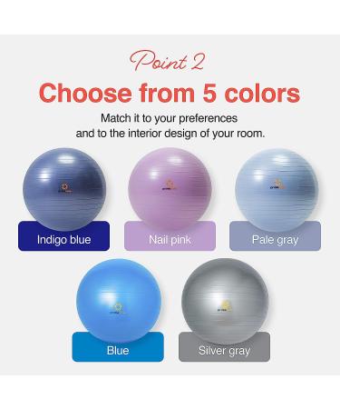 Primasole 25.6 Exercise Ball for Balance Stability | Yoga, Pilates, Fitness | Pale Gray w/ Inflator Pump | Home, Office, Gym - Buy Online on GoSupps.com