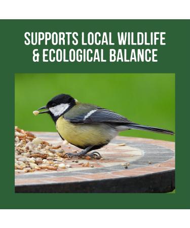 Honeyfields 5Kg Wild Bird Food - High Quality Blend for All Seasons - Buy Online on GoSupps.com