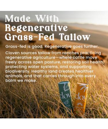 Cloven: Regenerative Tallow Lip Balm Peppermint | Grass-Fed Beef Tallow with Organic Beeswax Shea Butter & Almond Oil | Natural & Hydrating | Made in USA 6.7g Tube Mint To Be - Buy Online on GoSupps.com