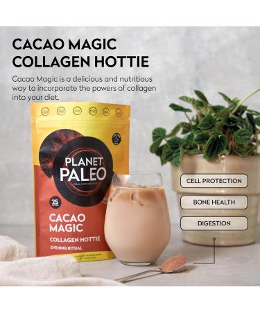 Planet Paleo Pure Collagen - Cacao Magic (264g 25 Servings) | Nutritious Protein-Rich Alternative to Hot Chocolate | Protein Pack Collagen Drink | Free from Dairy Gluten and Sugar Cacao 264g - Buy Online on GoSupps.com