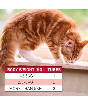 Beaphar WORMclear Spot-On for Cats | Kills Tapeworms | Vet Strength | Easy To Use | 2 Pipettes - Buy Online on GoSupps.com