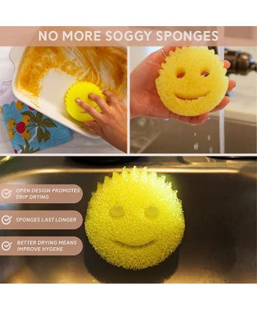 Sponge Caddy 1pk - Suction Cup Installation - White Color - Storage Theory - (Pack of 1) - Buy Online on GoSupps.com