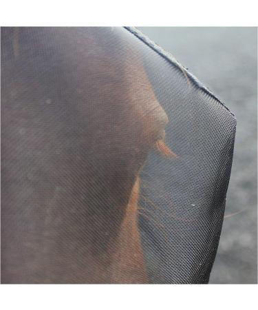 Woof Wear Fly Mask Without Ears - Black Turquoise - Buy Online on GoSupps.com