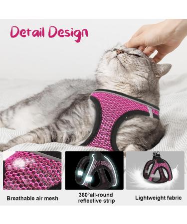Shop Lollanda XS Pink Cat Dishes & Adjustable Soft Kitten Vest - Reflective Leash for Kittens | International Shipping Available - Buy Online on GoSupps.com