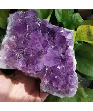 Natural Crystal Rough 1pc Natural Amethyst Quartz Crystal Cluster Specimen (Color : 850g) - Buy Online on GoSupps.com