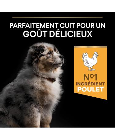 PURINA PRO PLAN Medium Puppy 1 Healthy Start | Rich in Chicken | Dry Food | Puppy | 12kg Bag - Buy Online on GoSupps.com