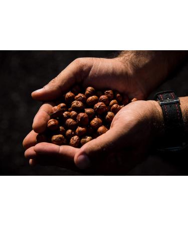AZNUT Raw Hazelnuts Filbert Nuts 1LB Pack - Gluten Free, Fresh & Premium Quality Snacks - Non-GMO & Kosher Certified - Buy Online on GoSupps.com