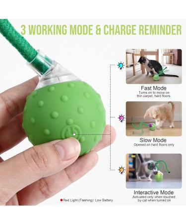 IOKHEIRA Interactive Cat Toy Cat Toys for Indoor Cats Adult Motion Activated Automatic Moving Ball Toy Electric Automatic Cat Toys with 2 Long Tail Teaser Suitable for All Floors and Carpets Green - Buy Online on GoSupps.com