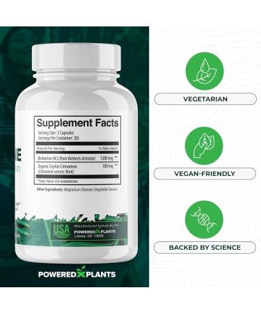 Pure Berberine Supplement - 1300mg Berberine with Ceylon Cinnamon for Metabolism & Immune System Support - 60 Servings 60 Count (Pack of 1) - Buy Online on GoSupps.com