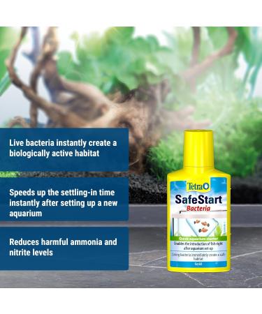 Tetra SafeStart Aquarium Starter - with live nitrifying bacteria allows the rapid introduction of fish in an aquarium 50 ml bottle. 50 ml (Pack of 1) Single - Buy Online on GoSupps.com