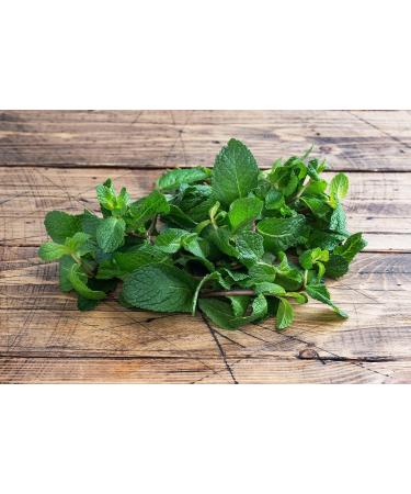 Sports equipment Mynatura Organic peppermint leaves tocket peppermint whole leaves peppermint tea herbal tea aroma in bag 100 g - Buy Online on GoSupps.com