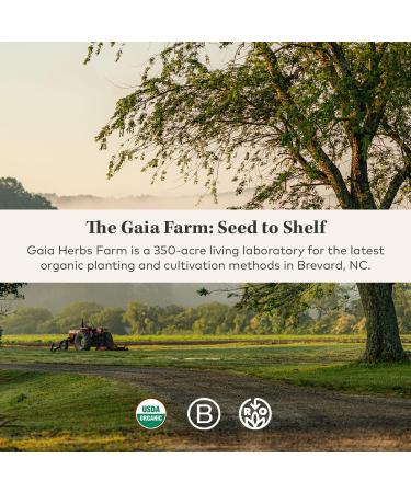 Gaia Herbs Lion s Mane Mushroom - Help Maintain Neurological Health - 120 Vegan Liquid Phyto-Capsules & Holy Basil Leaf - Helps Sustain a Positive Mindset and Balance in Times of Stress - 120 Vegan Li - Buy Online on GoSupps.com