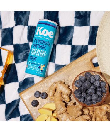 Koe Organic Kombucha Cans Blueberry Ginger | Sparkling Fruit Drink with Probiotics and Vitamin C | 12 oz Pack of 12 - Buy Online on GoSupps.com