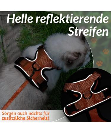 Buy Rabbitgoo Breakproof Cat Dishes & Adjustable Harness | Reflective Leash & Bowl for Cats Kittens & Small Dogs - Orange XS (1 Pack) - Buy Online on GoSupps.com