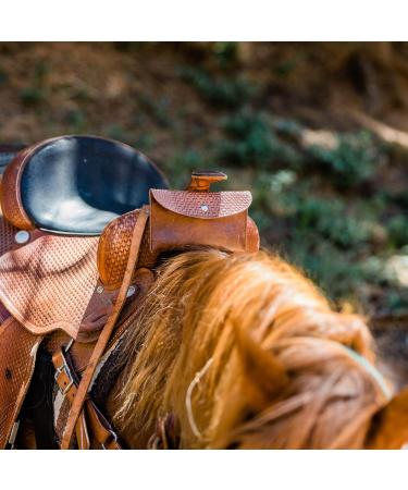 Starkenburg Horse Saddle Bag Cell Phone Holder | Easy-Access Pommel Bag for Small Items | Secure Light Brown Design - Buy Online on GoSupps.com