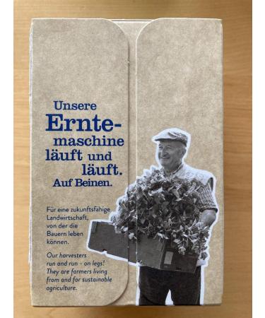 SUN GATE Sonnentor Ginger energy tea in bag 32 g Organic - Buy Online on GoSupps.com