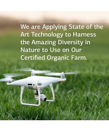 Standard Process Iplex - Whole Food Vascular Eye Health Supplement - Buy Online on GoSupps.com