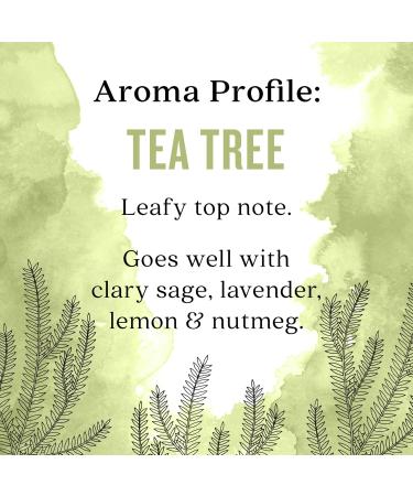 Aura Cacia Tea Tree Essential Oil 16 fl. oz. | Pure & Natural | International Shipping Available - Buy Online on GoSupps.com