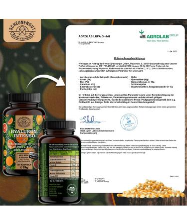 Hyaluron Capsules 500mg - High-Dose Hyaluronic Acid 120 Vegan Capsules with Vitamin C B12 Zinc & Flavonoids | De-Scheunengut  - Buy Online on GoSupps.com